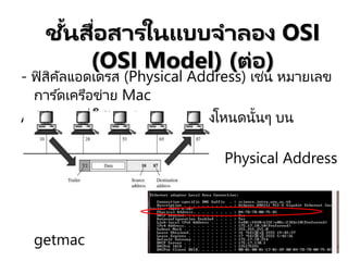 - ฟิสิคัลแอดเดรส (Physical Address) เช่น หมายเลข
การ ์ดเครือข่าย Mac
Address ซึ่งใช ้ระบุถึงตาแหน่งของโหนดนั้นๆ บน
เครือข่าย คาสั่งที่ใช ้หา
Physical Address
หรือ
Mac Address คือ
ipconfig /all หรือ
getmac
ชั้นสื่อสารในแบบจาลอง OSI
(OSI Model) (ต่อ)
 