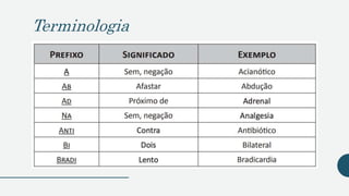Terminologia
 