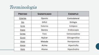 Terminologia
 