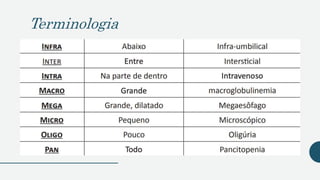Terminologia
 