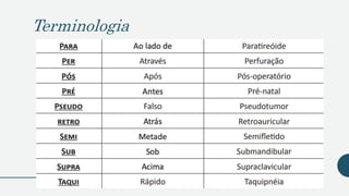 Terminologia
 