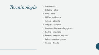 Terminologia • Oto – ouvido
• Oftalmo – olho
• Rino – nariz
• Bléfaro – pálpebra
• Adeno – glândula
• Tráqueo – traqueia
• Cárdia – esfíncter esofagogástrico
• Gastro – estômago
• Êntero – intestino delgado
• Cólon – intestino grosso
• Hepato – fígado
 