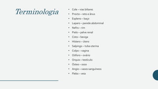 Terminologia • Cole – vias biliares
• Procto – reto e ânus
• Espleno – baço
• Laparo – parede abdominal
• Nefro – rim
• Pielo – pelve renal
• Cisto – bexiga
• Hístero – útero
• Salpingo – tuba uterina
• Colpo – vagina
• Oóforo – ovário
• Orquio – testículo
• Ósteo – osso
• Angio – vasos sanguíneos
• Flebo – veia
 