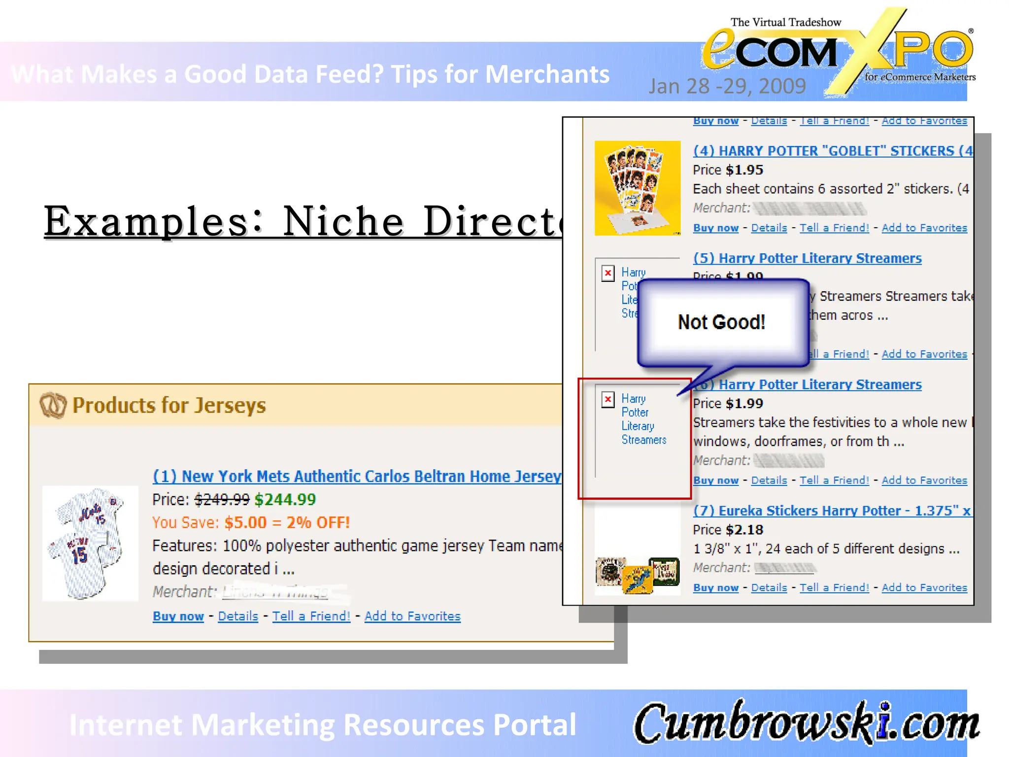 Examples: Niche Directory What Makes a Good Data Feed? Tips for Merchants Jan 28 -29, 2009 Internet Marketing Resources Portal 