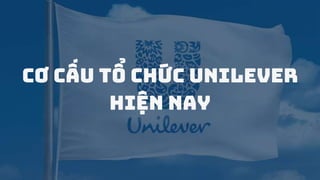 CƠ CẤU TỔ CHỨC UNILEVER
HIỆN NAY
 