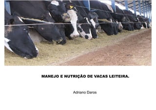Import images at 72dpi,
960 x 449 pixels
Add image here
MANEJO E NUTRIÇÃO DE VACAS LEITEIRA.
Adriano Daros
 
