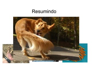 Resumindo
 