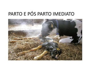 PARTO E PÓS PARTO IMEDIATO
 