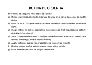 ROTINA DE ORDENHA
 