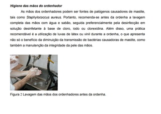 HIGIENE DAS MÃOS DO ORDENHADOR
 