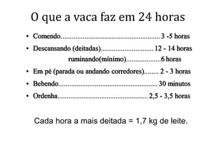 Cada hora a mais deitada = 1,7 kg de leite.
 