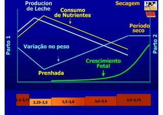 Lactação (meses)
Lactação (meses)
Gestação
(±9 meses)
Producion
Producion
de Leche
de Leche Consumo
Consumo
de Nutrientes
de Nutrientes
Parto
1
Parto
1
0
0 1
1 2
2 3
3 4
4 5
5 6
6 7
7 8
8 9
9 10
10 11
11 12
12
Parto
2
Parto
2
Prenhada
Prenhada
Período
Período
seco
seco
Secagem
Secagem
Crescimiento
Fetal
Crescimiento
Fetal
Variação no peso
Variação no peso
3,5-3,75
2,25-2,5 2,5-3,0 3,0-3,5 3,5-3,75
 