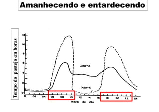Amanhecendo e entardecendo
Tempo
do
pastejo
em
horas
 