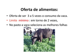 • Oferta de ser 3 a 5 vezes o consumo da vaca.
• Limite mínimo : em torno de 2 vezes,
• No pasto a vaca seleciona as melhores folhas
Oferta de alimentos:
 