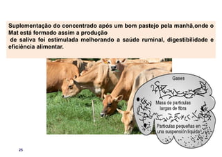 25
FORNECIMENTO DE RAÇÃO EM VACAS A PASTO
Suplementação do concentrado após um bom pastejo pela manhã,onde o
Mat está formado assim a produção
de saliva foi estimulada melhorando a saúde ruminal, digestibilidade e
eficiência alimentar.
 