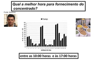Qual a melhor hora para fornecimento do
concentrado?
entre as 10:00 horas e às 17:00 horas
 