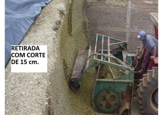 CONFIDENTIAL. This document contains trade secret information. Disclosure, use or reproduction outside Cargill or inside Cargill, to or
by those employees who do not have a need to know is prohibited except as authorized by Cargill in writing.
© 2013 Cargill, Incorporated. All rights reserved.
RETIRADA
COM CORTE
DE 15 cm.
 