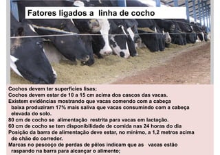 Import images at 72dpi,
960 x 449 pixels
Add image here
Cochos devem ter superfícies lisas;
Cochos devem estar de 10 a 15 cm acima dos cascos das vacas.
Existem evidências mostrando que vacas comendo com a cabeça
baixa produziram 17% mais saliva que vacas consumindo com a cabeça
elevada do solo.
80 cm de cocho se alimentação restrita para vacas em lactação.
60 cm de cocho se tem disponibilidade de comida nas 24 horas do dia
Posição da barra de alimentação deve estar, no mínimo, a 1,2 metros acima
do chão do corredor.
Marcas no pescoço de perdas de pêlos indicam que as vacas estão
raspando na barra para alcançar o alimento;
Fatores ligados a linha de cocho
 