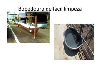 Bobedouro de fácil limpeza
 