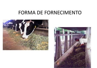 FORMA DE FORNECIMENTO
 