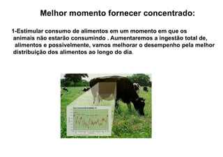 Melhor momento fornecer concentrado:
1-Estimular consumo de alimentos em um momento em que os
animais não estarão consumindo . Aumentaremos a ingestão total de,
alimentos e possivelmente, vamos melhorar o desempenho pela melhor
distribuição dos alimentos ao longo do dia.
 