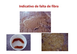 Indicativo de falta de fibra
 