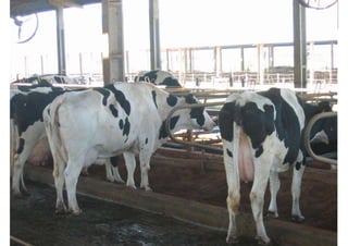 Não é possível
exibir esta
imagem.
 