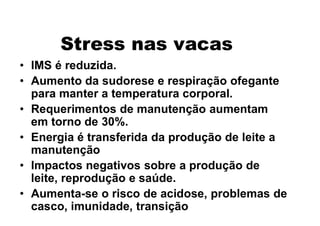 Stress nas vacas
• IMS é reduzida.
• Aumento da sudorese e respiração ofegante
para manter a temperatura corporal.
• Requerimentos de manutenção aumentam
em torno de 30%.
• Energia é transferida da produção de leite a
manutenção
• Impactos negativos sobre a produção de
leite, reprodução e saúde.
• Aumenta-se o risco de acidose, problemas de
casco, imunidade, transição
 