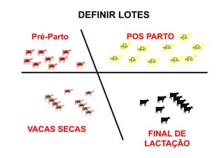 DEFINIR LOTES
FINAL DE
LACTAÇÃO
POS PARTO
Pré-Parto
VACAS SECAS
 