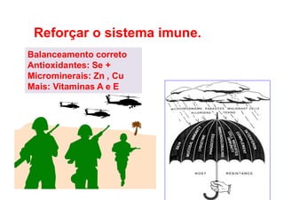 Reforçar o sistema imune.
Balanceamento correto
Antioxidantes: Se +
Microminerais: Zn , Cu
Mais: Vitaminas A e E
 