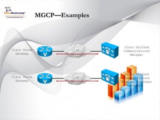 Ccvp plus module 1 | PDF