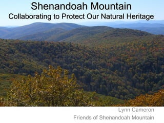 Lynn Cameron
Friends of Shenandoah Mountain
Shenandoah MountainShenandoah Mountain
Collaborating to Protect Our Natural HeritageCollaborating to Protect Our Natural Heritage
 
