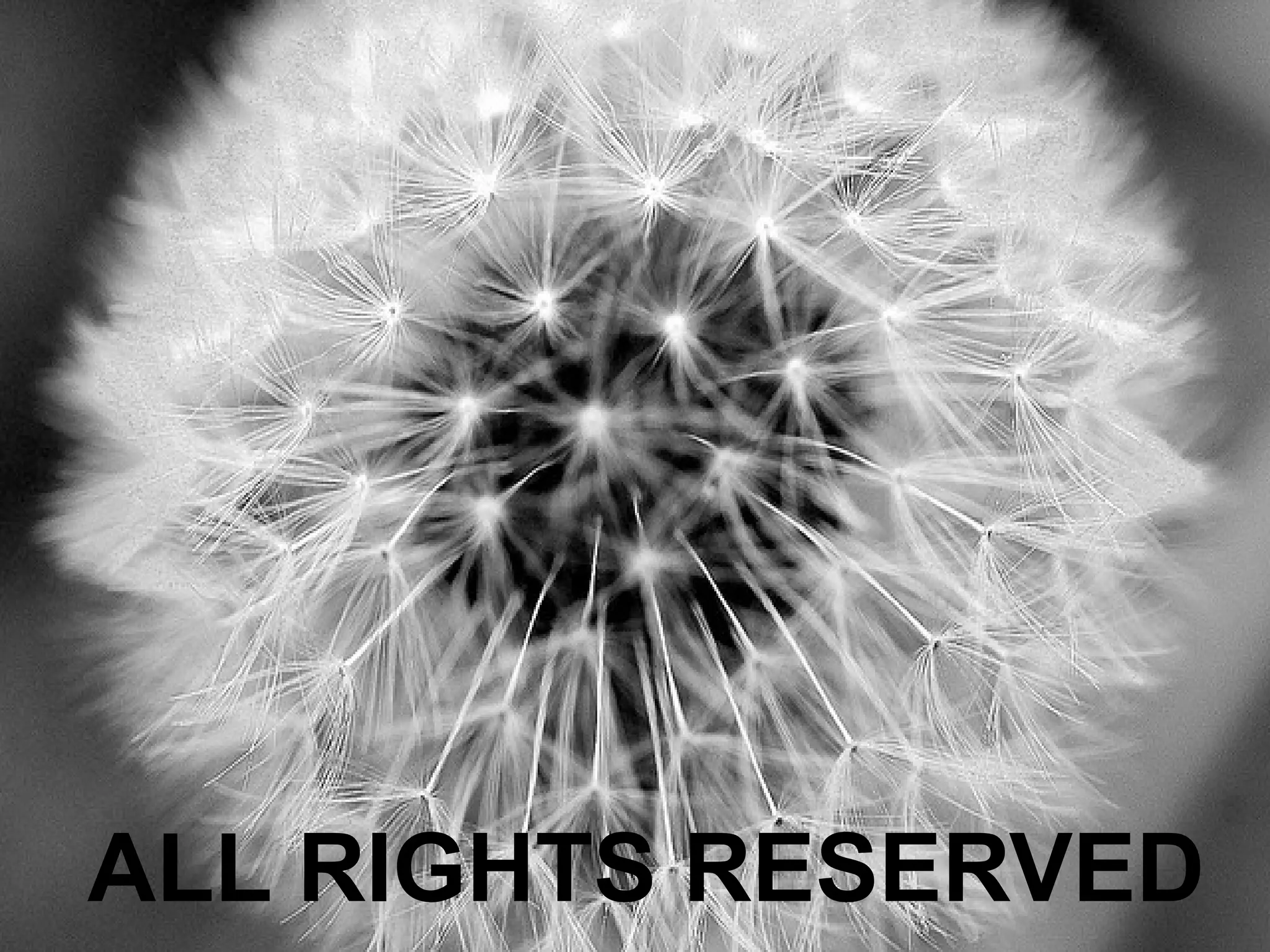 ALL RIGHTS RESERVED
 