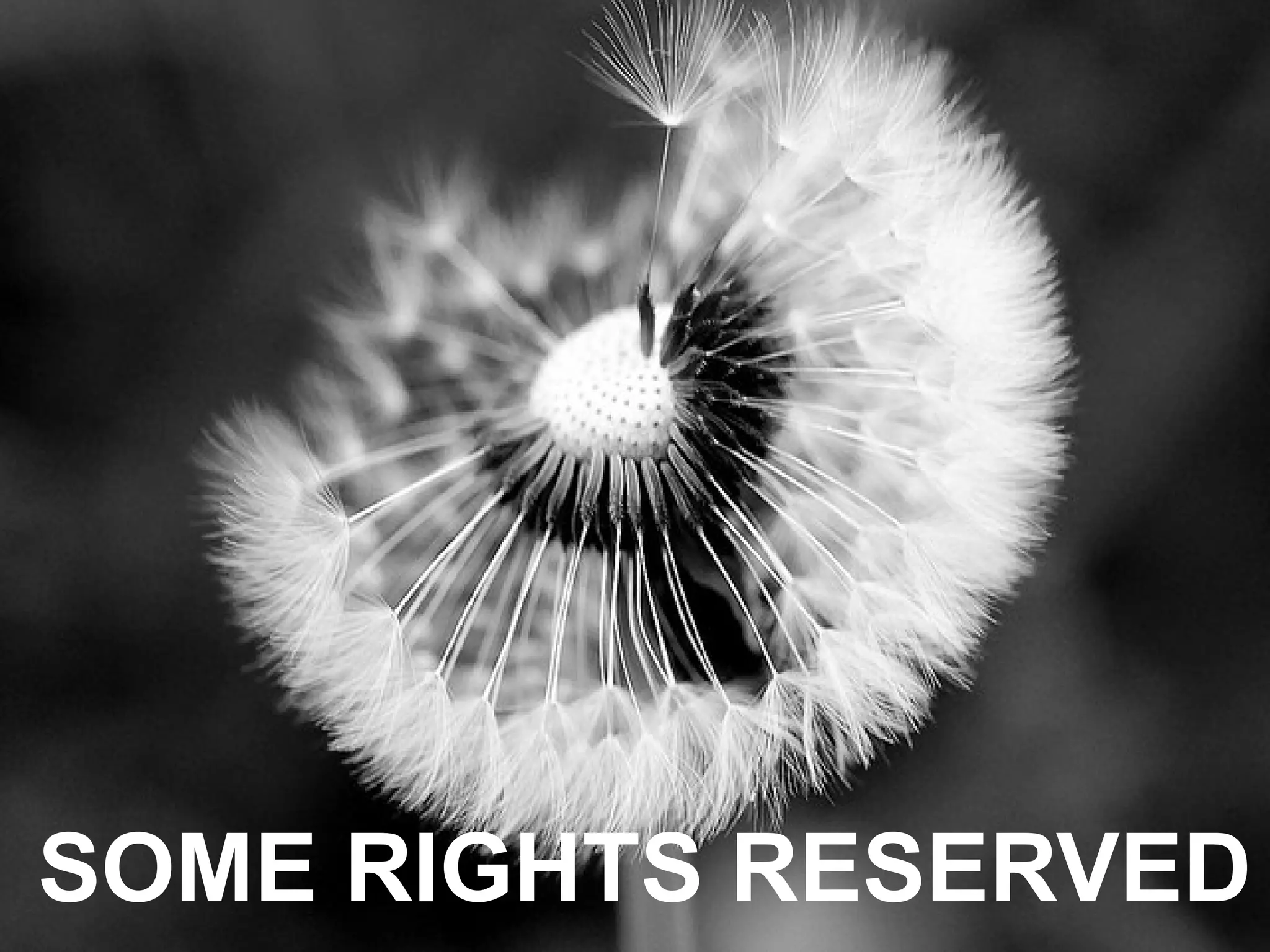 SOME RIGHTS RESERVED
 