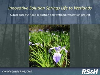 Innovative Solution Springs Life to Wetlands
A dual purpose flood reduction and wetland restoration project
Cynthia Grizzle PWS, CFM
 