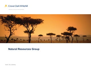 Natural Resources Group




Audit | Tax | Advisory
 