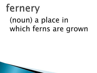 	(noun) a place in which ferns are grownfernery