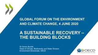 GLOBAL FORUM ON THE ENVIRONMENT
AND CLIMATE CHANGE, 4 JUNE 2020
A SUSTAINABLE RECOVERY –
THE BUILDING BLOCKS
Dr Simon Buckle
Head of Climate, Biodiversity and Water Division
Environment Directorate, OECD
 