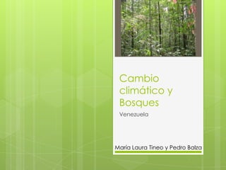 Cambio
 climático y
 Bosques
 Venezuela




María Laura Tineo y Pedro Balza
 