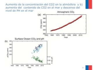 16
Aumento de la concentración del CO2 en la atmósfera y b)
aumento del contenido de CO2 en el mar y descenso del
nivel de PH en el mar
 