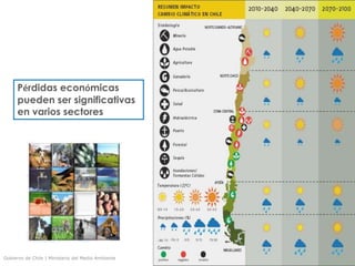 Gobierno de Chile | Ministerio del Medio Ambiente
Pérdidas económicas
pueden ser significativas
en varios sectores
 