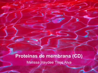 Proteinas de membrana (CD)
Melissa Haydee Trejo Alva
 
