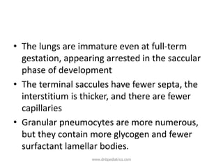 • The lungs are immature even at full-term
gestation, appearing arrested in the saccular
phase of development
• The terminal saccules have fewer septa, the
interstitium is thicker, and there are fewer
capillaries
• Granular pneumocytes are more numerous,
but they contain more glycogen and fewer
surfactant lamellar bodies.
www.dnbpediatrics.com
 