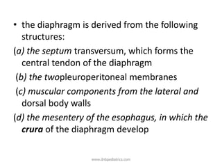 • the diaphragm is derived from the following
structures:
(a) the septum transversum, which forms the
central tendon of the diaphragm
(b) the twopleuroperitoneal membranes
(c) muscular components from the lateral and
dorsal body walls
(d) the mesentery of the esophagus, in which the
crura of the diaphragm develop
www.dnbpediatrics.com
 