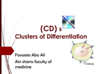 (CD) s
Clusters of Differentiation
Fawzeia Abo Ali
Ain shams faculty of
medicine
 