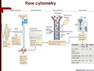Flow cytometry
 