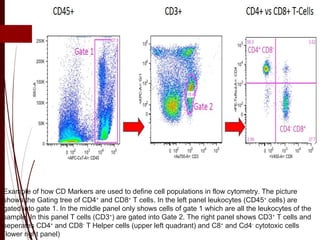 Example of how CD Markers are used to define cell populations in flow cytometry. The picture
shows the Gating tree of CD4+
and CD8+
T cells. In the left panel leukocytes (CD45+
cells) are
gated into gate 1. In the middle panel only shows cells of gate 1 which are all the leukocytes of the
sample. In this panel T cells (CD3+
) are gated into Gate 2. The right panel shows CD3+
T cells and
seperates CD4+
and CD8-
T Helper cells (upper left quadrant) and C8+
and Cd4-
cytotoxic cells
(lower right panel)
 