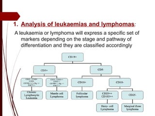 1. Analysis of leukaemias and lymphomas:
A leukaemia or lymphoma will express a specific set of
markers depending on the stage and pathway of
differentiation and they are classified accordingly
 