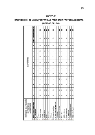 176
ANEXO XI
CALIFICACIÓN DE LAS IMPORTANCIAS PARA CADA FACTOR AMBIENTAL
(MÉTODO DELPHI)
 