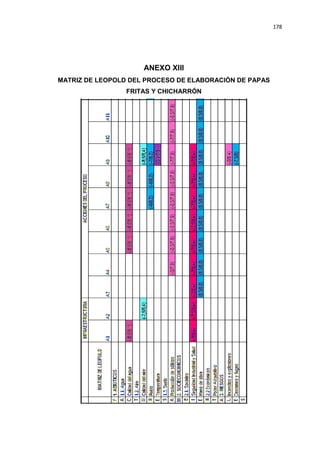 178
ANEXO XIII
MATRIZ DE LEOPOLD DEL PROCESO DE ELABORACIÓN DE PAPAS
FRITAS Y CHICHARRÓN
 